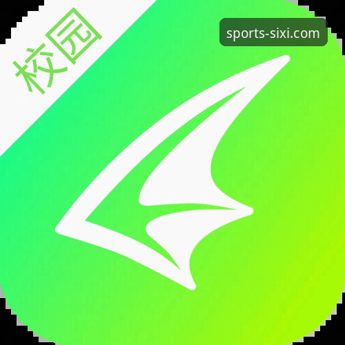 四喜体育客户端下载功能详解：从安装到使用的实用技巧